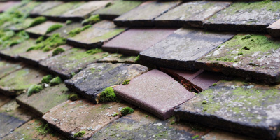 Hermon roof repair costs